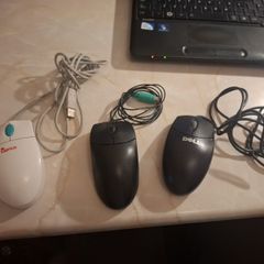 Mice