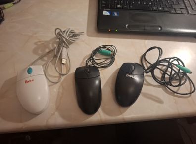 Mice