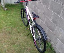 Girls Bicycle