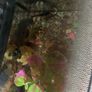aquarium Image 3