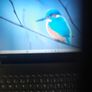 Toshiba Satellite Pro laptop Image 4