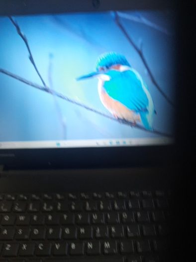 Toshiba Satellite Pro laptop