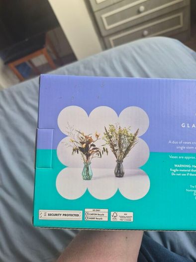 Two glass vases New