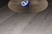 Foldable Cat Scratching Board/Game