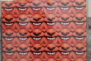 Aphex Twin CD - Donkey Rhubarb
