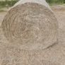 Hay Image 2