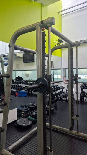 technogym smith machine top brand