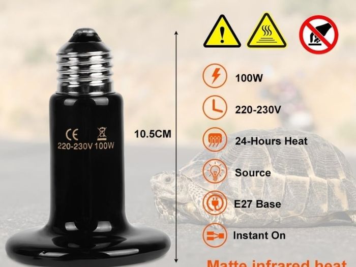 Pet Heat Lamp & Bulb