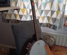 Tenor banjo (Ortega)