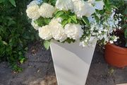 Phoenix tall planter