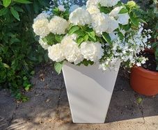 Phoenix tall planter