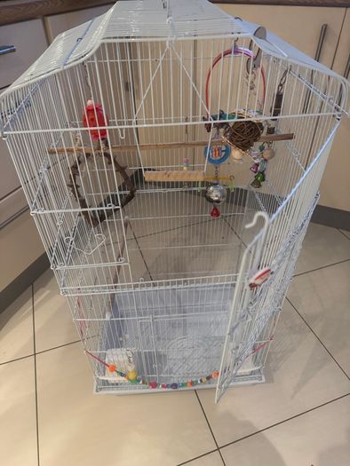 Free budgie cage and some supplies