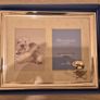 Newbridge silverware baby double photo frame Image 2
