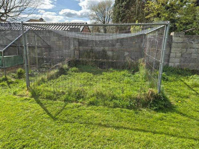 Chicken run,rabbit run