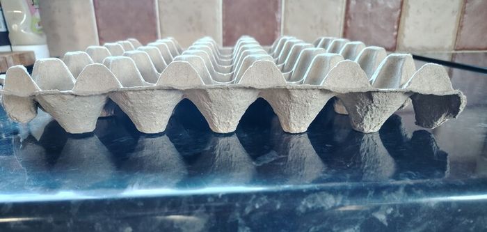 Egg Carton Tray