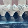 Egg Carton Tray Image 3