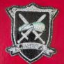 Bosnian , paramilitary green Berets insignia. Image 2