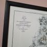 Vintage framed Dublin & Wicklow Map Image 2