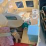 Sylvanian Families-large bundle Image 10