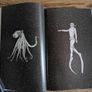 Amazing Octopus: Creature From an Unknown World  by Michael Stavaric, Age 9+ Image 6