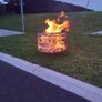 Fire Pit Image 10