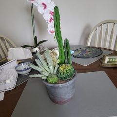 Cactus plants artificial potted