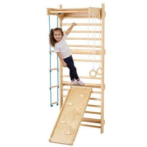 Swedish Ladder Wall Gym 5-in-1 Wooden Indoor Playground & Climbing Set