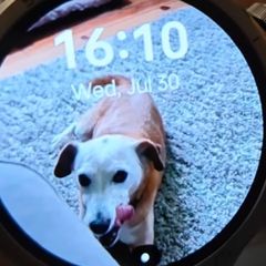 OnePlus Watch 3 (Emerald Titanium) -  Smart Watch