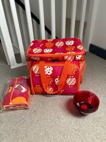 Picnic Cool Bag by Next
