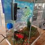 ciano aqua 30 aquarium 25l Image 3