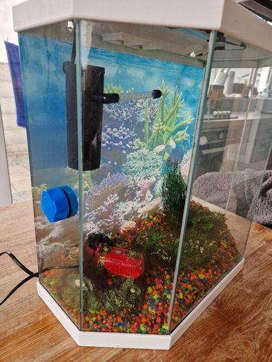 ciano aqua 30 aquarium 25l