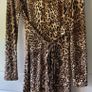 Leopard Print Dress Image 2