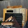 Electric Sauna Image 2