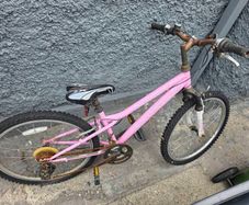 Free bike