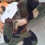 Christmas baby outfit Image 3