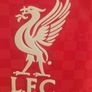 Liverpool Jersey Image 5