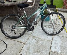 Ladies Bike