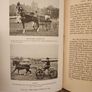 The Horseman's Year Book. Edited By Lt.col.w.e.lyon. 1950 First Edition Hardback In Good Condition. Plus Hunting,showing, And Chasing. By Sam Marsh. See Photos For Same. Image 10