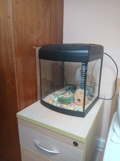 fish tank