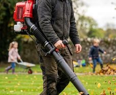 Leaf Blowers Amura Professional