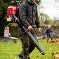 Leaf Blowers Amura Professional