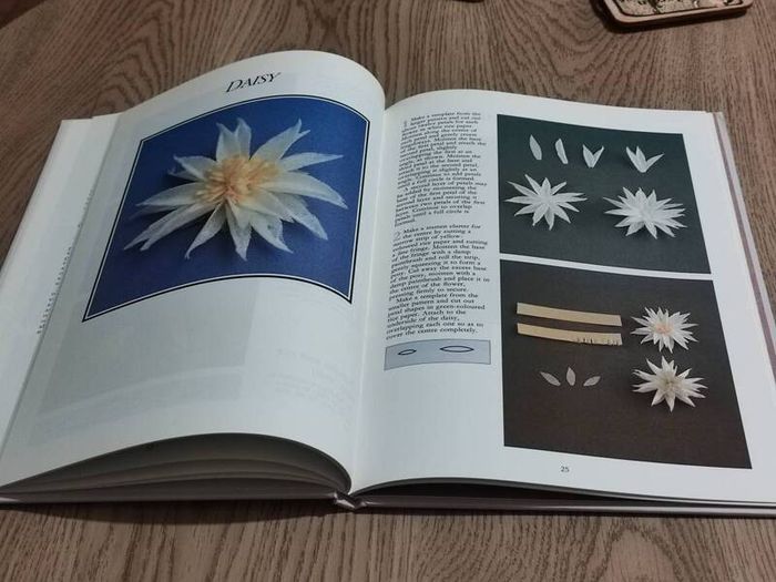 Rice Paper Flowers  1989