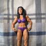 wwe figure Image 2