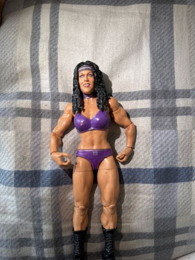 wwe figure