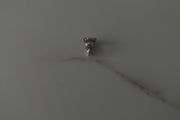 Pandora Nini the rabbit charm