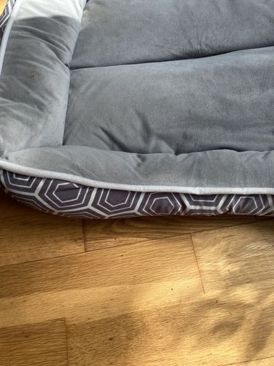 Dogs Bed