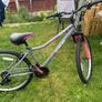 Serene mountain bike Image 7
