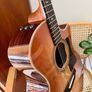TAYLOR 414ce Studio Sunset Blvd  SEB Torrefied Soruce Top Image 2