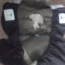 Extra cover for car seat booster Image 2