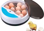 Egg incubator Chicken Incubators for hatching eggs with Automatic Temperature and Humidity Control (9 Eggs) - Chick Brooder - chicken eggs, Duck, Quail eggs, Goose and incubator Box kit (FREE SHIPPING)